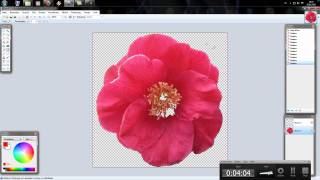 PaintNET Tutorial  2  Hintergrund von Objekten entfernen  German HD HD [upl. by Werdn]