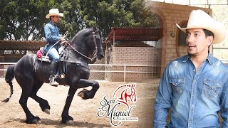 🐴 CLUB ECUESTRE SAN MIGUEL y DIEGO SILVA [upl. by Zavras]