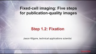 12 Fixation–Fixed cell imaging 5 steps for publicationquality images [upl. by Peppie]