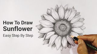 How To Draw Sunflower Easy Step By Step  Nature Drawing Lesson 5  Realistic Flower with Pencil [upl. by Jelena697]