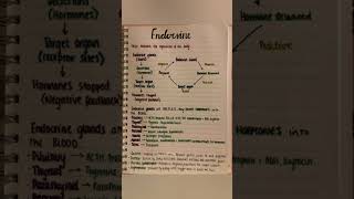 Endocrine systems PHYSIOLOGY by medical 20 [upl. by Atinyl32]