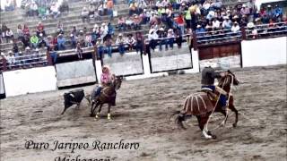 toros mata caballos puro jaripeo ranchero michoacan [upl. by Victorie]