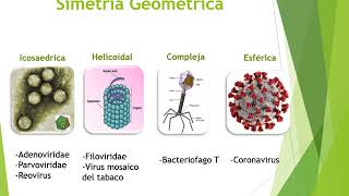 Virus  Generalidades [upl. by Franciscka]