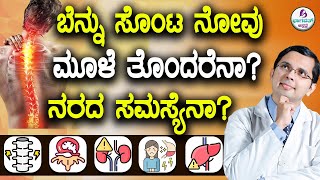 V86 Back Pain Reasons  How to Identify  ಬೆನ್ನು ಸೊಂಟ ನೋವಿಗೆ ಕಾರಣವೇನು ಮೂಳೆಮಾಂಸಖಂಡ ನರ ಕಿಡ್ನಿ [upl. by Auric]