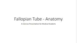 Anatomy of Fallopian Tubes  Gynecology for Medical Students [upl. by Ewold]