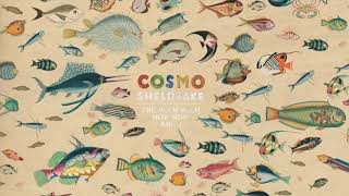 Cosmo Sheldrake  Linger Longer Instrumental [upl. by Ethelyn]