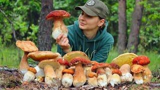 Picking and cooking Porcini mushrooms in Ukrainian forest in June Life in the village [upl. by Sieracki]