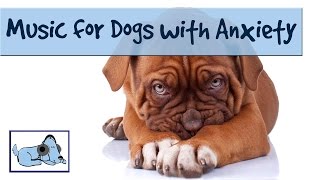 Music Therapy For Your Dog with Anxiety Problems [upl. by Arretal]