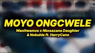 Wanitwamos x Nkosazana daughter amp Nobuhle  moyo ongcwele lyrics ft HarryCane [upl. by Bridget]