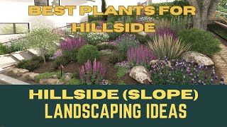 Best Plants For Hillside Landscaping  Slope Area Landscaping Ideas  Front Yard Garden Ideas [upl. by Falconer678]