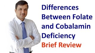 Cobalamin and Folate Deficiency  How to Differentiate Both [upl. by Yssirhc777]