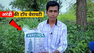 अरंडी की ये वेरायटी देती हैं सबसे ज्यादा उत्पादन ।। Arandi ki Top Verayti ।। [upl. by Idisahc]