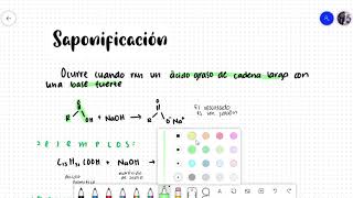 LÍPIDOS Bioquímica Clasificación y Tipos de Lípidos Biomoléculas Biología Bachillerato [upl. by Edivad459]