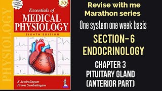 Pituitory gland introduction Divisionanterior pituitarypituitory hormones [upl. by Auhel670]