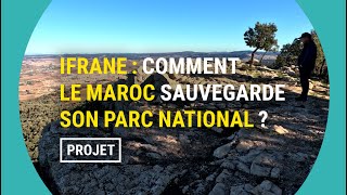 Ifrane un parc naturel bien conservé [upl. by Eletnahc]