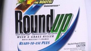 RoundUp Weed And Grass Killer ReadyToUse Plus [upl. by Atinahc]