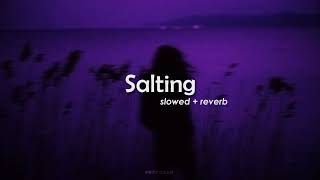 Salting slowedreverb  Dj Salting  Tiktok Remix  2021  Indo Remix  TikTok Viral [upl. by Naret]