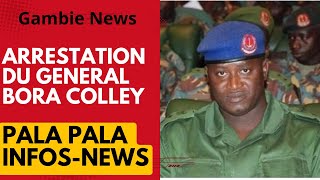 Gambie  Arrestation du Général Bora Colley [upl. by Llerred]