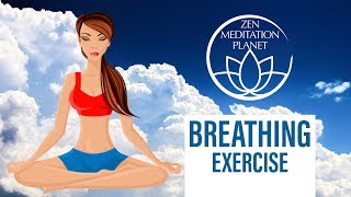 Guided 478 Breathing Exercise for a Restful Deep Sleep [upl. by Aynotahs]