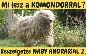 Mi lesz a KOMONDOROKKAL Beszélgetés Nagy Andrással 2 DogCast TV [upl. by Ronna81]