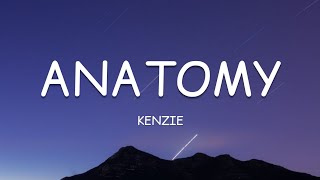 kenzie  anatomy Lyrics🎵 [upl. by Maurizia]