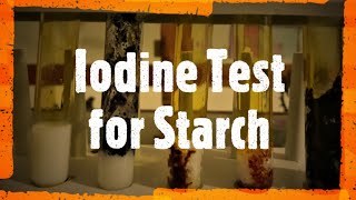 Iodine Test for Starch I Science Experiments for Kids [upl. by Arreip809]