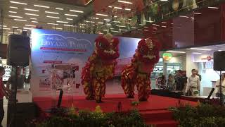 普寧醒獅學院 Pho Leng Lion Dance Cai Qing Performance at Loyang Point 19 June 2017 [upl. by Rafi]