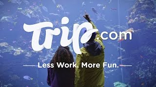 Tripcom Super Bowl Commercial 2017 [upl. by Lathan]