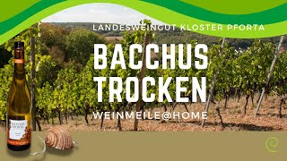 WeinmeileHome – Bacchus trocken Landweingut Kloster Pforta [upl. by Fusuy417]