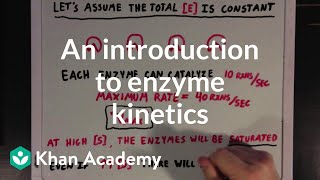 An introduction to enzyme kinetics  Chemical Processes  MCAT  Khan Academy [upl. by Paz]