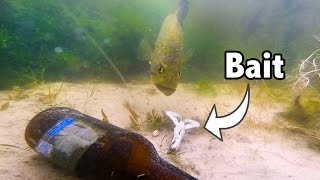 BIG Bass Eating Baits On GoPro  Amazing Underwater Bed Fishing  See Comment For Contest [upl. by Joycelin]