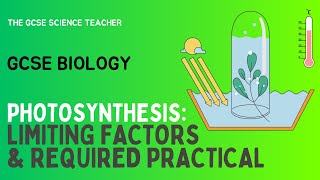 GCSE Biology Photosynthesis Required Practical AQA OCR Edexcel [upl. by Yadahs42]