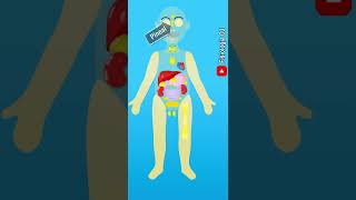 Sistema endocrino Definición y componentes  Fisiología del sistema endocrino [upl. by Zelma]