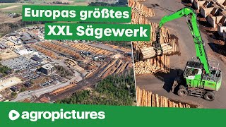 Größtes Sägewerk Europas – Ziegler Group  SENNEBOGEN 735E Pick amp Carry Umschlagbagger  Holz Doku [upl. by Notelrahc]