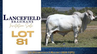 Lot 81 Lancefield S Maloney 6614  1 PS [upl. by Dewitt]