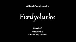 Ferdydurke  rozdział 3 [upl. by Peggi425]