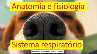 RESUMO  ANÁTOMOFISIOLOGIA DO SISTEMA RESPIRATÓRIO DOS ANIMAIS [upl. by Adnaval]