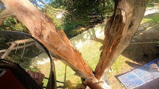 Removing a FAILED cedar [upl. by Aerised]