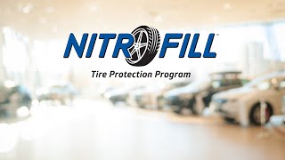 NitroFill Overview 2020 [upl. by Ecnatsnoc637]