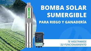 🌞💦 Bomba sumergible solar energizada directamente con paneles para riego solar y ganadería [upl. by Alaham]