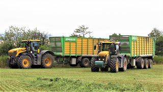 JCB Fastrac 8330 amp 2x 4220 v akci  Senáže vojtěšky [upl. by Krid]