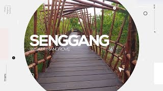 Wisata Hutan Mangrove Surabaya [upl. by Yllime]