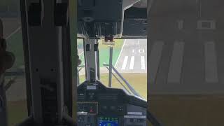 Front seat view St Bart’s nosedive approach onboard Winair Twin otter [upl. by Ilbert]