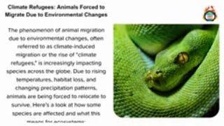 Climate Refugees Animals Forced to Migrate Due to Environmental Changes [upl. by Leiser]