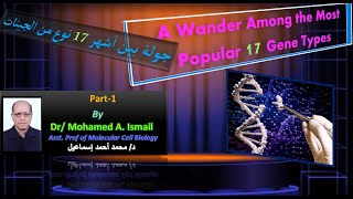 Encyclopedia of Gene Types Part1 موسوعة أنواع الچينات الحلقة الأولى [upl. by Balough464]