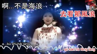 Teresa Teng  海韻 hai yun  karaoke [upl. by Adekahs]