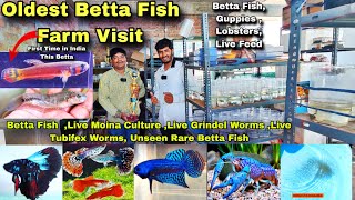 SN Fish Farm Visit  Lobsters Cichlids BettaFish Farm Deliver all over Betta Fish Hyderabad [upl. by Yannodrahc]