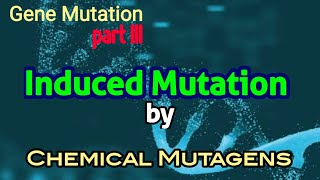 Chemical Mutagens  Induced Mutation  Gene Mutation [upl. by Imled222]