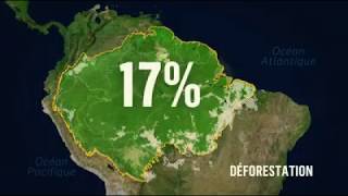 forêt amazonienne et réchauffement climatique [upl. by Strait]