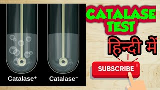 Catalase test bacterial identification in hindi [upl. by Vachill]